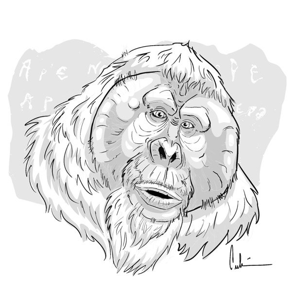 ApeTober2020_POTA_Maurice_24